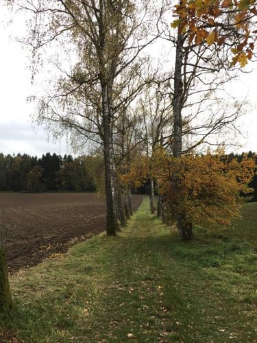 Durch den Wieswald ins Xaveriental