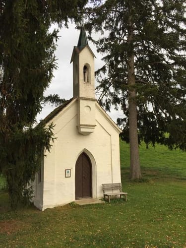 Durch den Wieswald ins Xaveriental