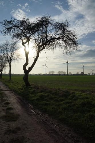 Wellier Runde um den Dicken Rießen