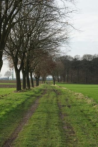 Wellier Runde um den Dicken Rießen
