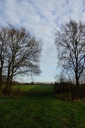 Wellier Runde um den Dicken Rießen