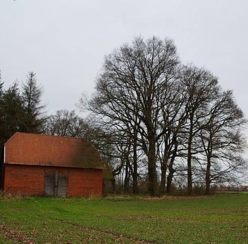 Wellier Runde um den Dicken Rießen