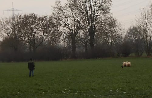 Kleine Runde um das Kloster Schinna