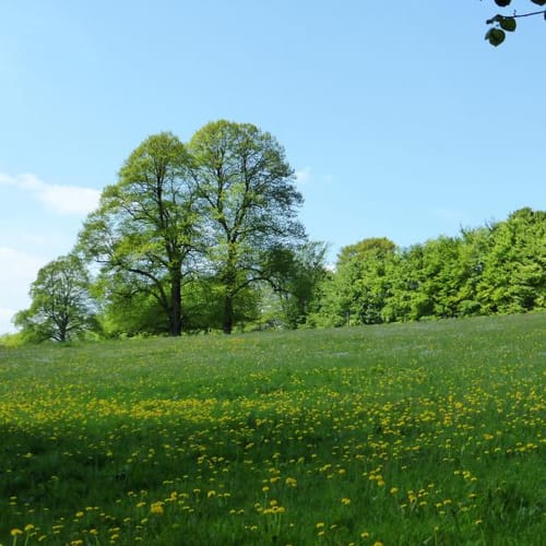 Kleine Westerholt-Runde