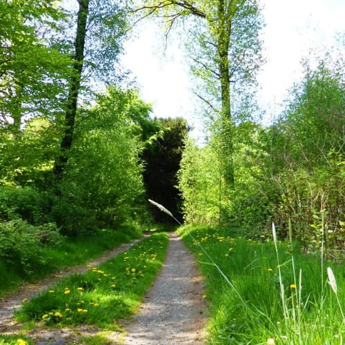 Kleine Westerholt-Runde