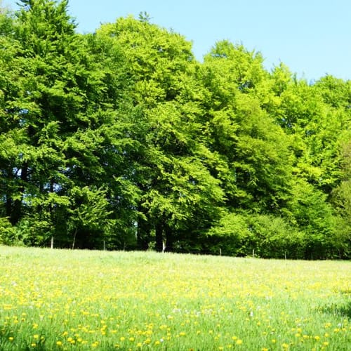 Kleine Westerholt-Runde