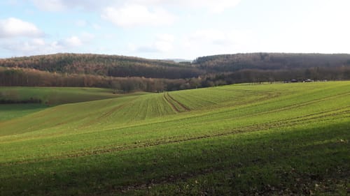 Rundwanderweg „Roter Schmetterling“