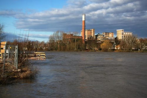 Am Main bei Hattersheim