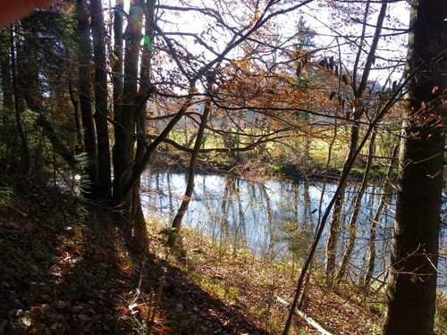 Entlang der Wertach bei Wald