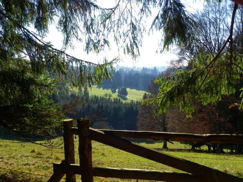 Entlang der Wertach bei Wald