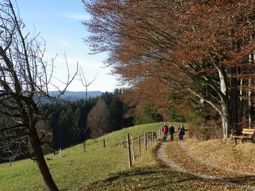 Entlang der Wertach bei Wald
