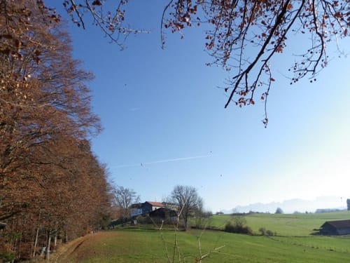 Entlang der Wertach bei Wald