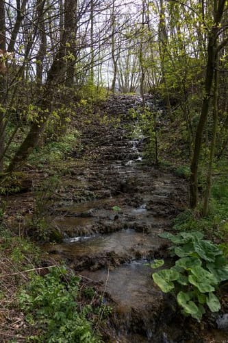 Hüttenbacher Rundwanderweg