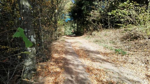 Ernest-Hemingway-Wanderweg