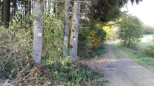 Ernest-Hemingway-Wanderweg