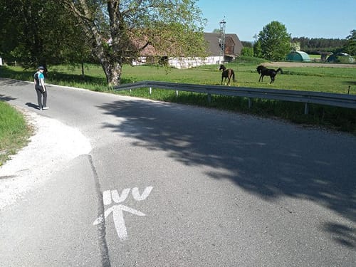 Durch den Naturpark ab Pfaffenhofen an der Zusam