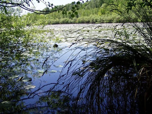 Krummensee - Sutschketal