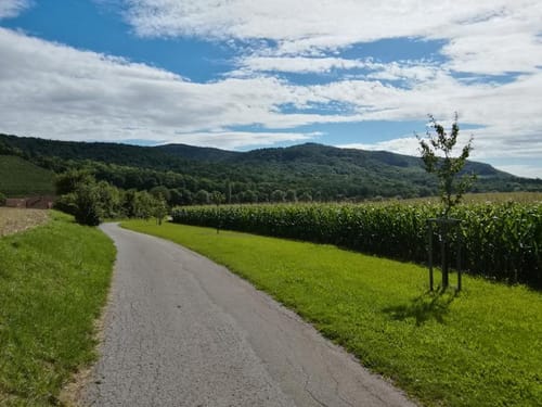 VAI-Tour-Nord