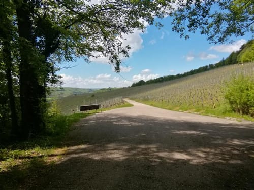 Ochsenbach - Burgruine Blankenhorn