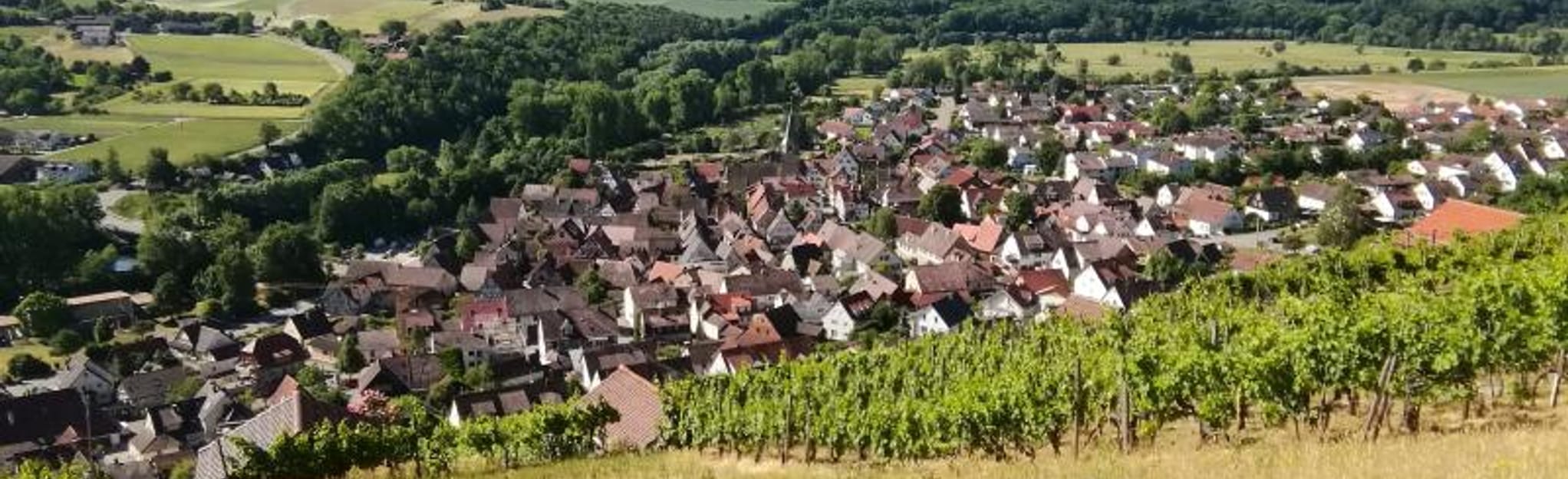 Historischer Rundgang Roßwag: 4 Fotos - Baden-Württemberg, Deutschland | AllTrails