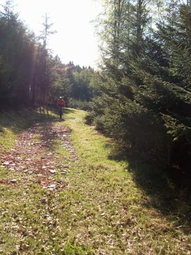 5 Tälerfahrt durch die Stauden und Mindeltal