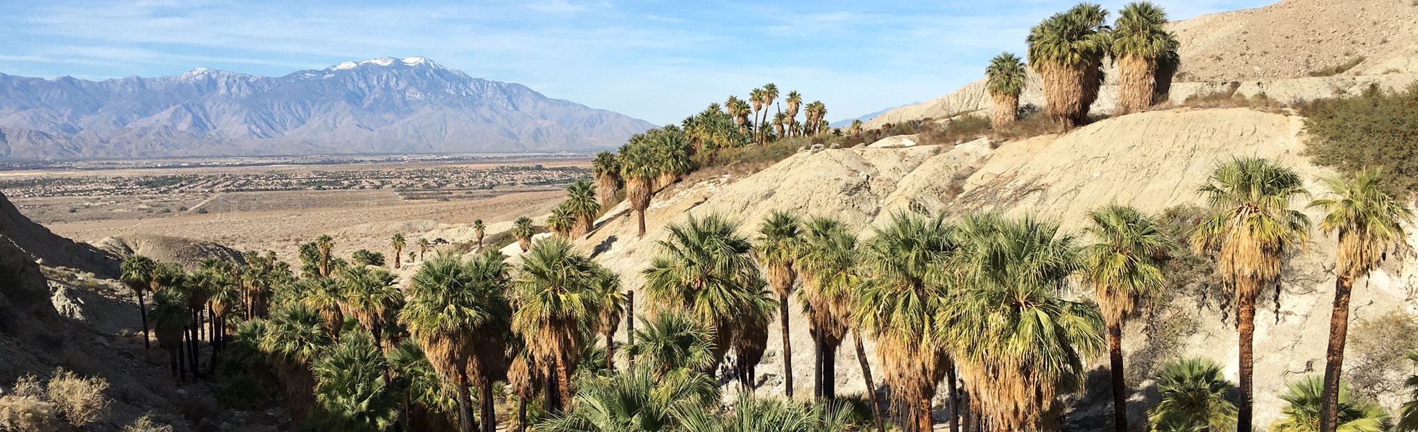Indio Hills Palms Park, California 9 Reviews, Map AllTrails