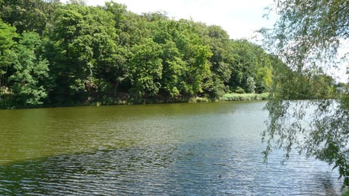 Circuit Etangs et Lacs