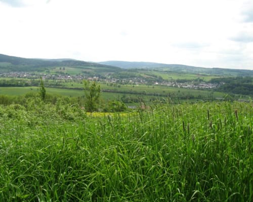 Spessart Biken 8 Panoramaweg