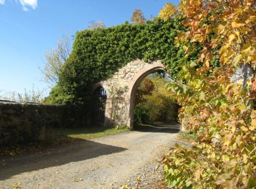 Spessartbiken 13: Brandenstein-Runde