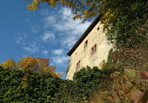Spessartbiken 13: Brandenstein-Runde