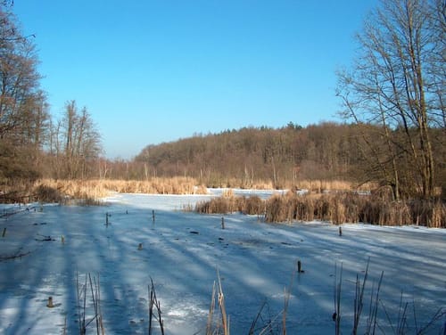 Um den Herrensee