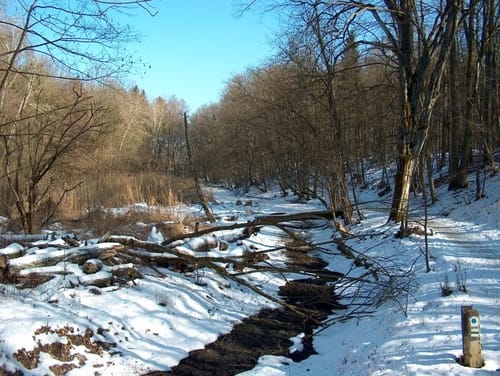 Um den Herrensee