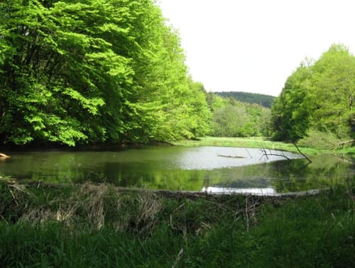 Spessartbiken 11: Rhönblick
