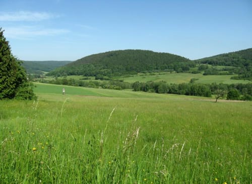 Spessartbiken 03: Ralfs Runde