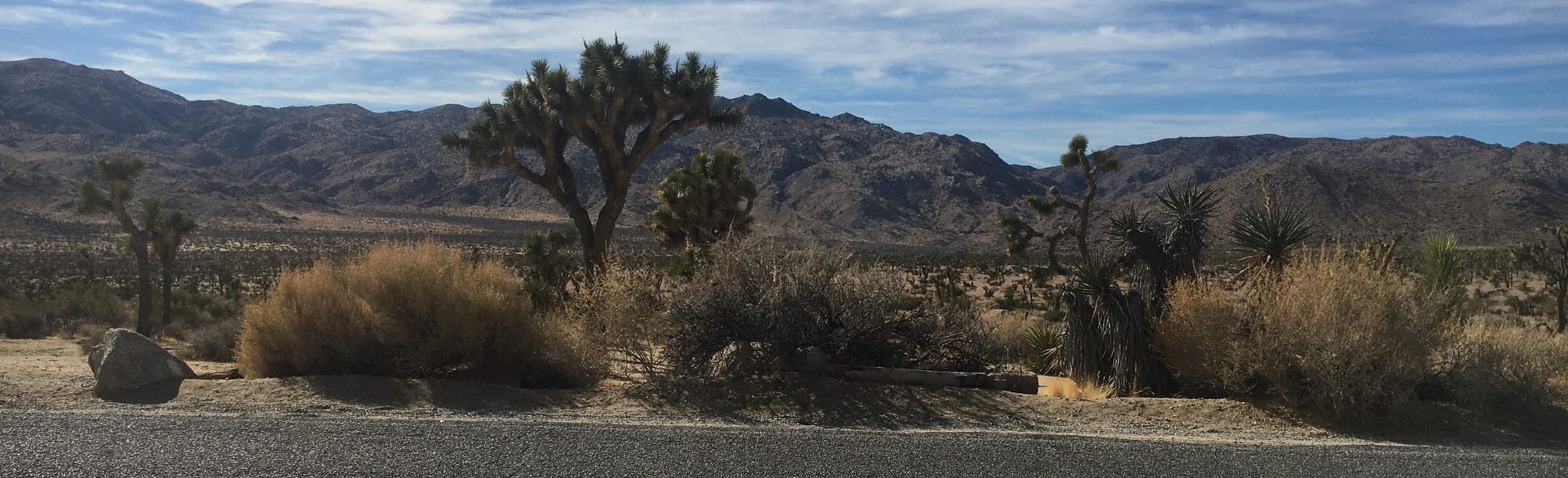 Joshua Tree National Park Scenic Drive via North Entrance 192 Reviews, Map California AllTrails