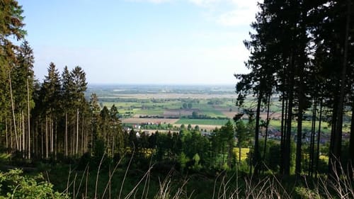 Mühlensteig Etappe 2: Reineberg - Bergkirchen