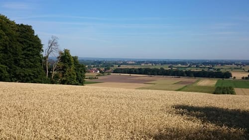 Lila Route - Stemweder Berg