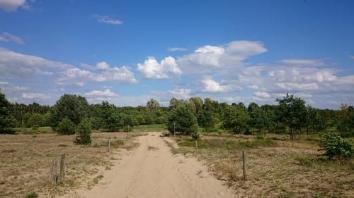 Döberitzer Heide ab Rohrbeck