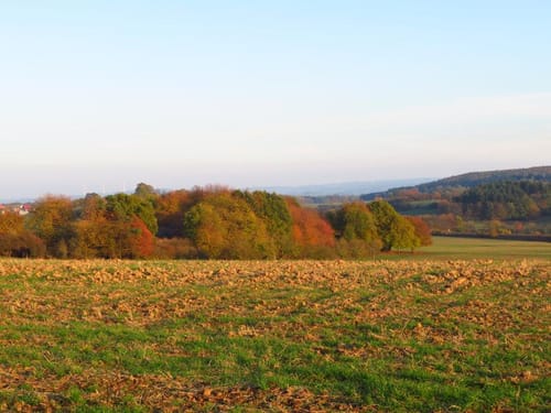 Rundweg Grünberg