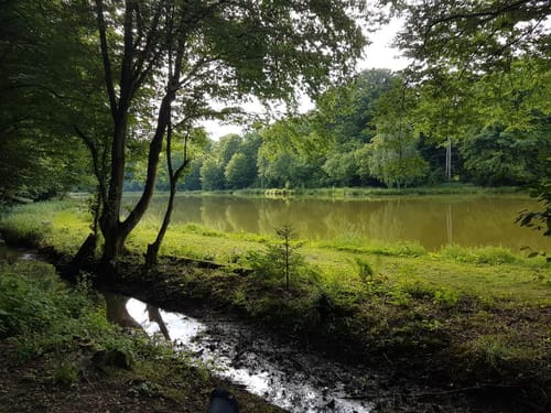 Drei-Teiche-Runde Hungen