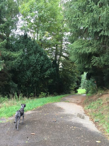 Leichlingen: Bergischer Obstweg