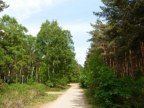 Von Baerlaghof in die Leucht