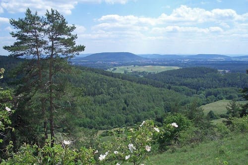 Taubelsberg und Generalsblick ab Krummer Stein