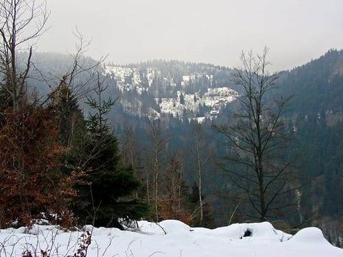 Steinach - Rundwanderweg 3