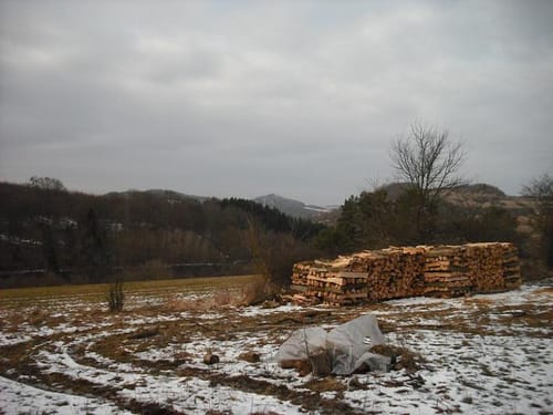 Runde in Königsfichte