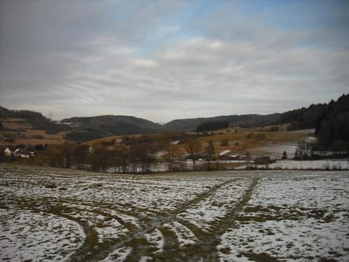 Runde in Königsfichte