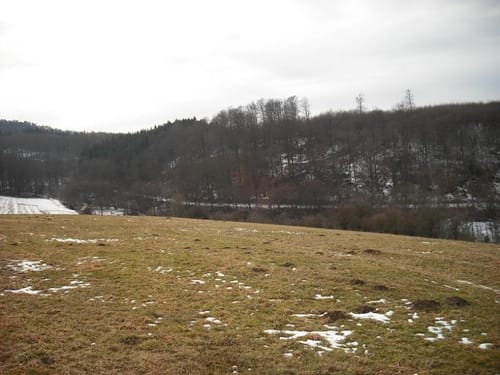Runde in Königsfichte