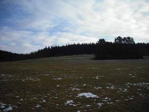 Runde in Königsfichte