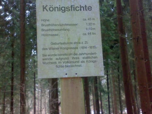 Runde in Königsfichte