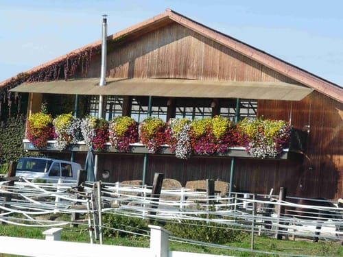 Simbach am Inn - Gschöd - Oberham - Reith - Oberölling - Straß